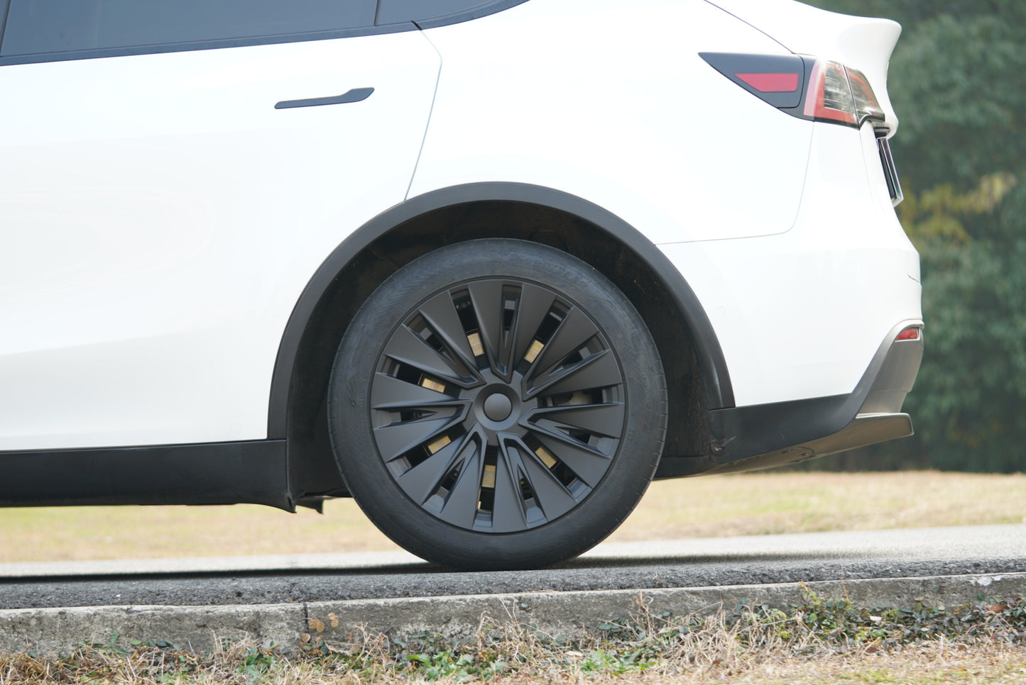 TYPHOON 19" Wheel Covers for Tesla Model Y (Matt Black)