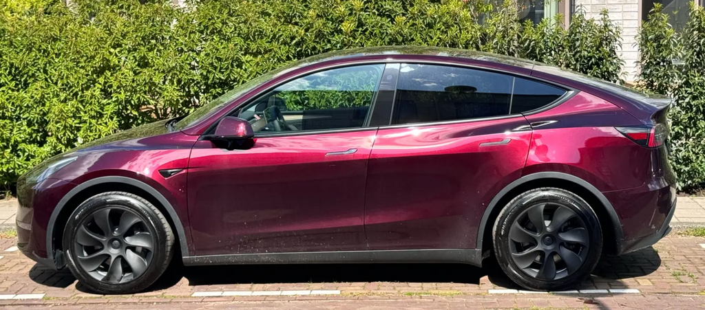CYCLONE 19